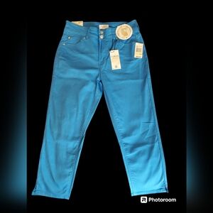 Curve Appeal Women's Size 4/27 Ibiza Blue Pants